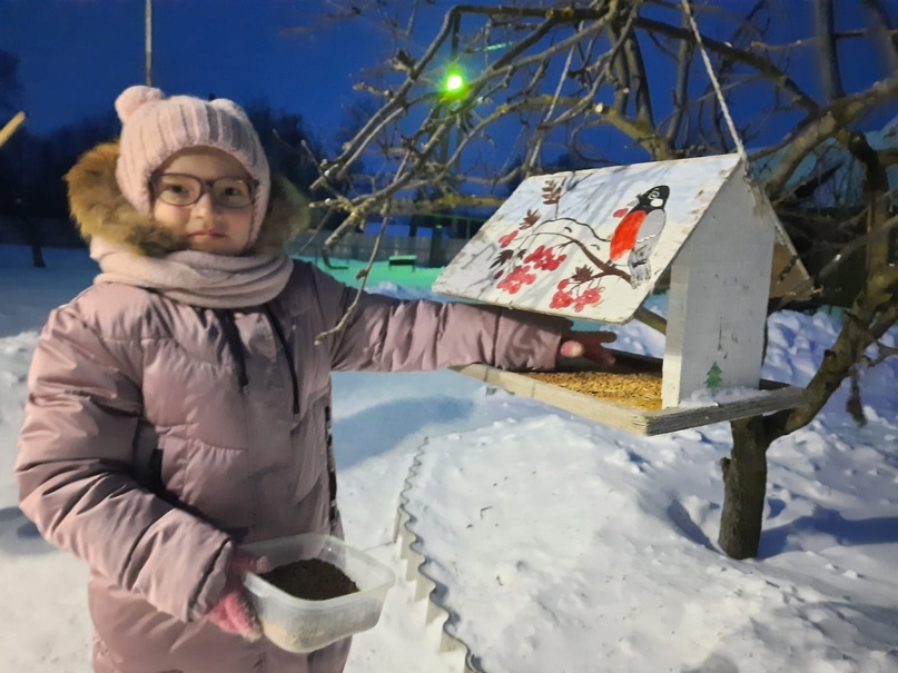 Всероссийская акция «Покорми птиц зимой».